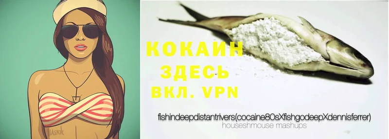 Кокаин Эквадор Вольск