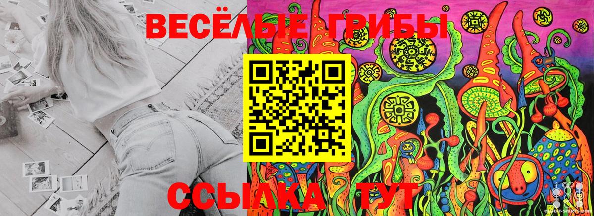 Галлюциногенные грибы Psilocybe  Вольск 