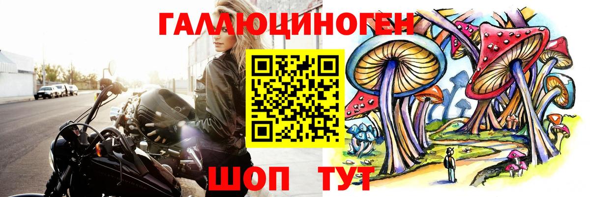 Галлюциногенные грибы Cubensis Вольск